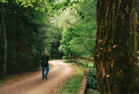 Miško Takas 67. Vilkija – Padubysys.