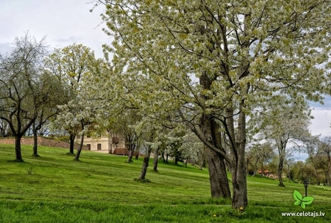 Mazmežotnės dvaras