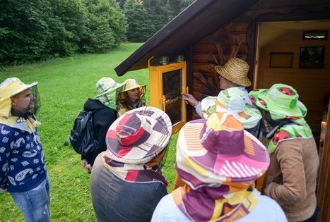 Sodyba „Medaus klėtelė“