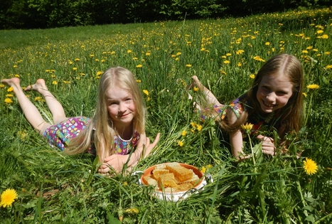 Sodyba „Medaus klėtelė“