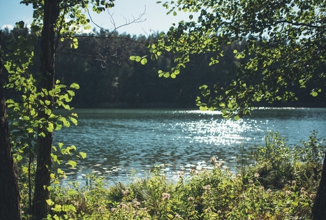 Meironų gamtos takas