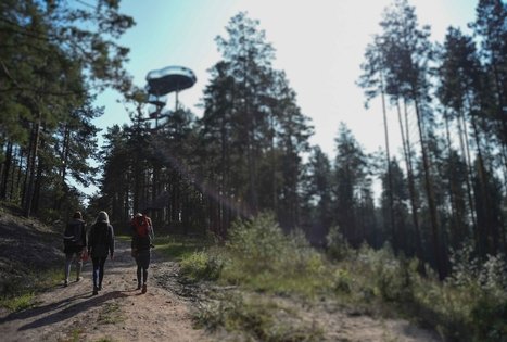 Merkinės apžvalgos bokštas