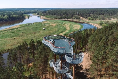 Miško Takas 56. Merkinė – Nemunaitis.