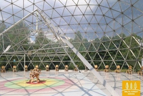 Merkinės bioenergetinė piramidė