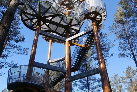 Merkinės apžvalgos bokštas