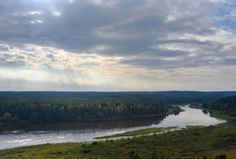 Merkinės piliakalnis