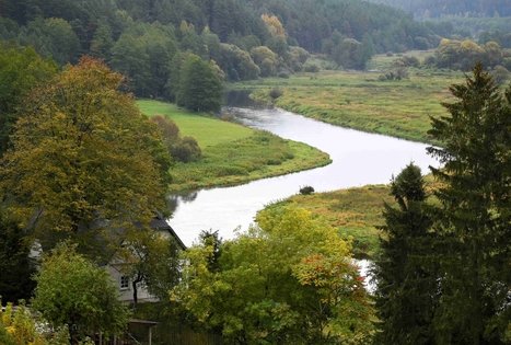 Merkinės piliakalnis