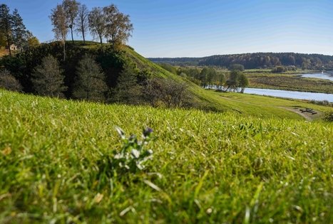 Merkinės piliakalnis