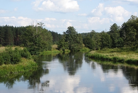 Merkio ichtiologinis draustinis