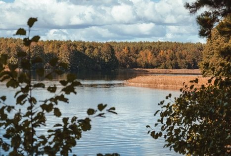 Miško Takas 52. Veisiejai – Trikojis.