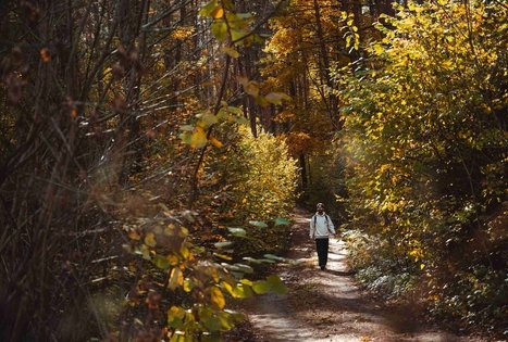 Miško Takas 52. Veisiejai – Trikojis.