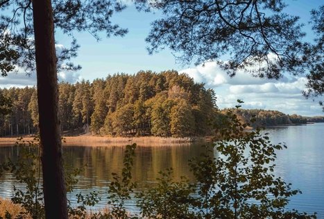 Miško Takas 52. Veisiejai – Trikojis.