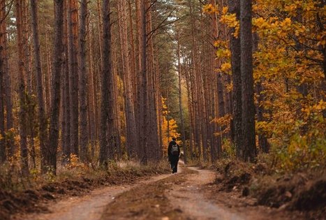 Miško Takas 54. Didžiasalis – Druskininkai – Žiogeliai.