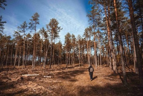 Miško Takas 54. Didžiasalis – Druskininkai – Žiogeliai.