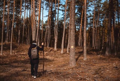 Miško Takas 54. Didžiasalis – Druskininkai – Žiogeliai.