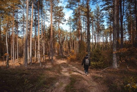 Miško Takas 54. Didžiasalis – Druskininkai – Žiogeliai.