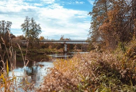 Miško Takas 55. Žiogeliai – Merkinė.