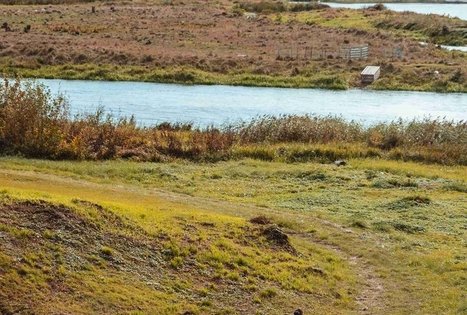 Miško Takas 55. Žiogeliai – Merkinė.