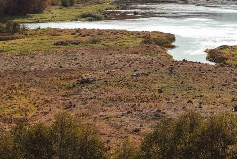 Miško Takas 55. Žiogeliai – Merkinė.