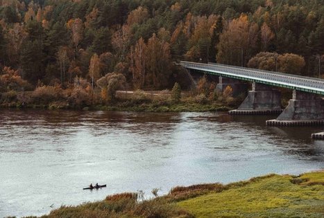 Miško Takas 55. Žiogeliai – Merkinė.