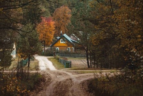 Miško Takas 55. Žiogeliai – Merkinė.