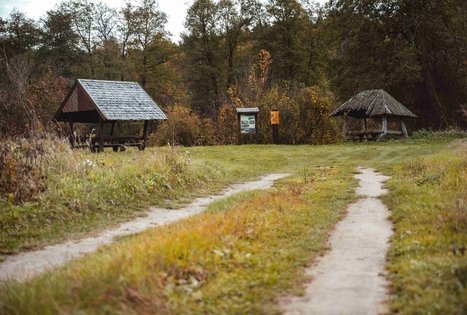 Miško Takas 55. Žiogeliai – Merkinė.