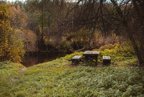 Miško Takas 55. Žiogeliai – Merkinė.