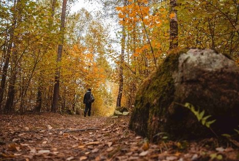 Miško Takas 56. Merkinė – Nemunaitis.