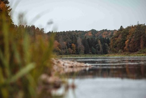 Miško Takas 58. Alytus – Panemunis.