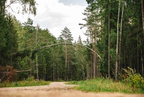 Miško Takas 59. Panemunis – Birštonas.