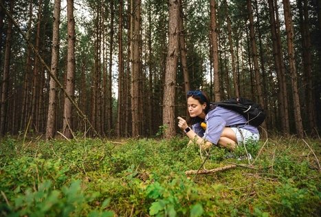 Miško Takas 59. Panemunis – Birštonas.