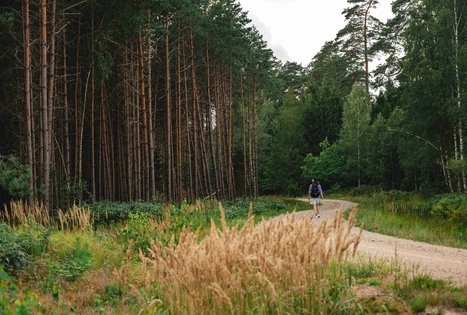 Miško Takas 59. Panemunis – Birštonas.