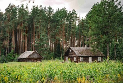 Miško Takas 59. Panemunis – Birštonas.
