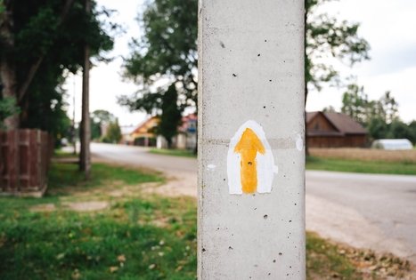 Miško Takas 59. Panemunis – Birštonas.