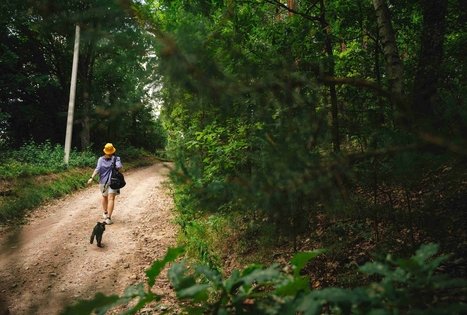 Miško Takas 59. Panemunis – Birštonas.