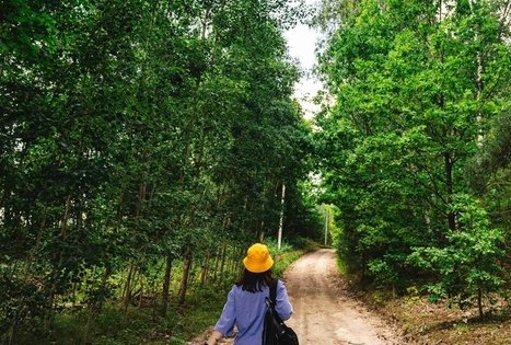 Miško Takas 59. Panemunis – Birštonas.