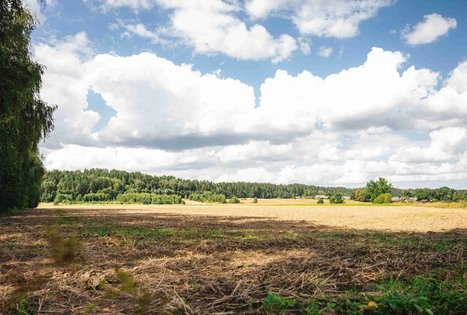 Miško Takas 59. Panemunis – Birštonas.