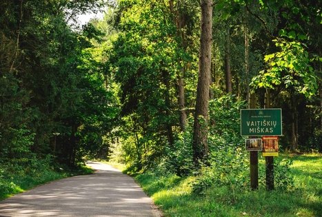 Miško Takas 59. Panemunis – Birštonas.