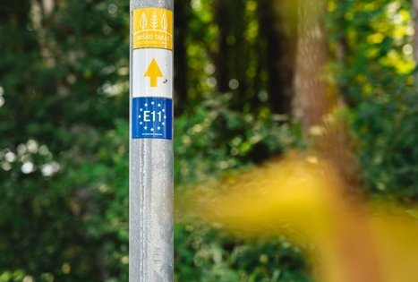 Miško Takas 59. Panemunis – Birštonas.