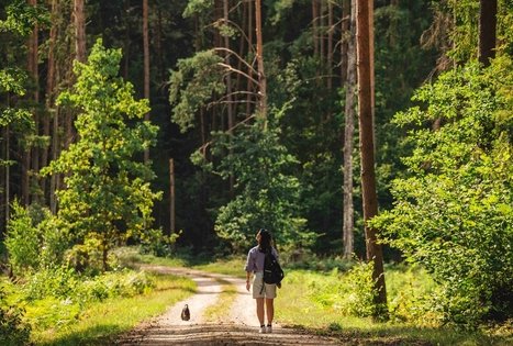 Miško Takas 59. Panemunis – Birštonas.