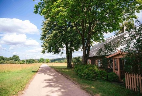 Miško Takas 61. Alksniakiemis – Pakuonis.