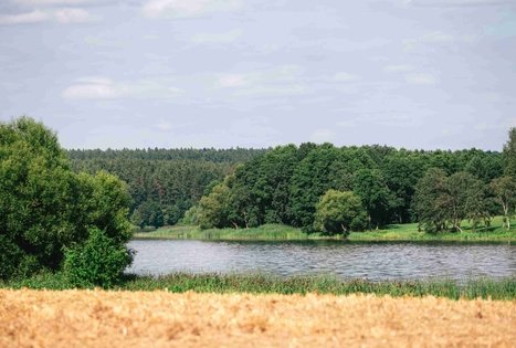 Miško Takas 61. Alksniakiemis – Pakuonis.