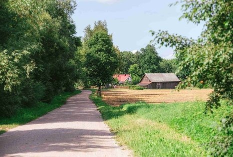 Miško Takas 61. Alksniakiemis – Pakuonis.