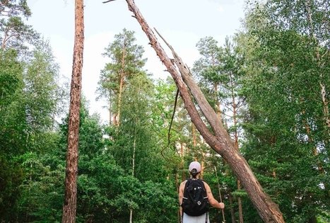 Miško Takas 61. Alksniakiemis – Pakuonis.