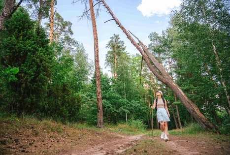 Miško Takas 61. Alksniakiemis – Pakuonis.