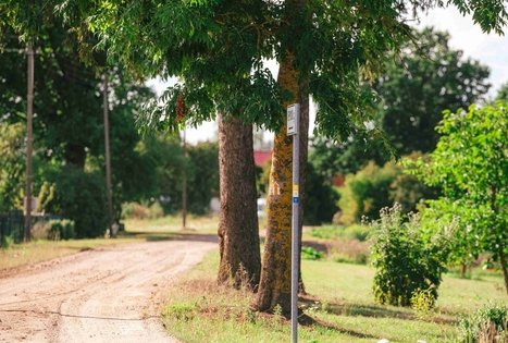 Miško Takas 61. Alksniakiemis – Pakuonis.