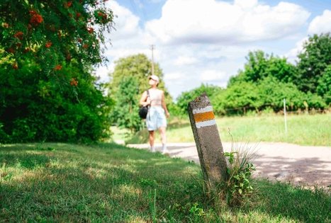 Miško Takas 61. Alksniakiemis – Pakuonis.