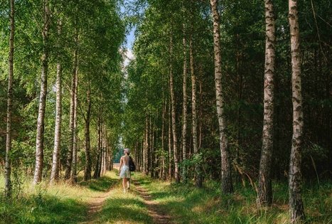 Miško Takas 61. Alksniakiemis – Pakuonis.