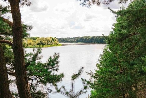 Miško Takas 61. Alksniakiemis – Pakuonis.