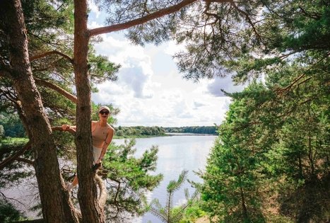 Miško Takas 61. Alksniakiemis – Pakuonis.